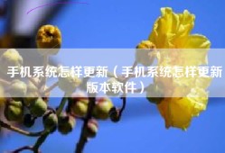 手机系统怎样更新（手机系统怎样更新版本软件）