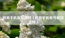 网易手机账号找回（网易手机账号找回流程）