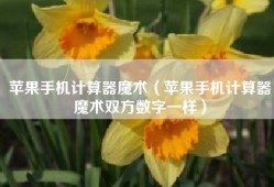 苹果手机计算器魔术（苹果手机计算器魔术双方数字一样）