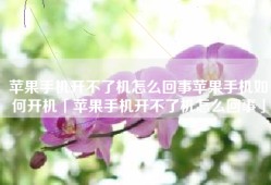 苹果手机开不了机怎么回事苹果手机如何开机「苹果手机开不了机怎么回事」