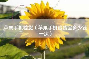 苹果手机验货（苹果手机验货宝多少钱一次）