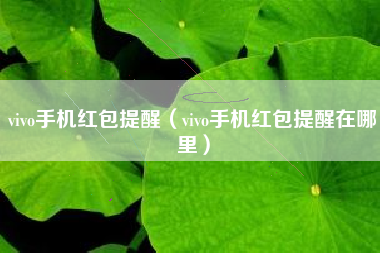 vivo手机红包提醒（vivo手机红包提醒在哪里）