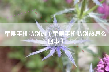 苹果手机特别热（苹果手机特别热怎么回事）