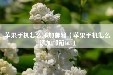 苹果手机怎么添加邮箱（苹果手机怎么添加邮箱163）