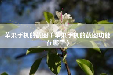 苹果手机的截图（苹果手机的截图功能在哪里）