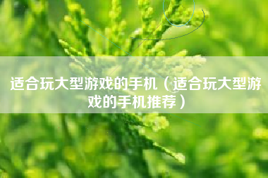 适合玩大型游戏的手机（适合玩大型游戏的手机推荐）