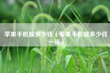 苹果手机膜多少钱（苹果手机膜多少钱一张）