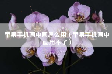 苹果手机画中画怎么用（苹果手机画中画用不了）