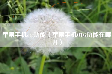 苹果手机otg功能（苹果手机OTG功能在哪开）