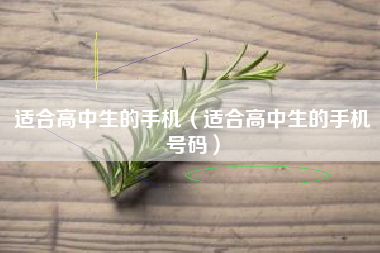 适合高中生的手机（适合高中生的手机号码）