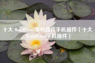 十大 WordPress 手机插件手机插件「十大 WordPress 手机插件」